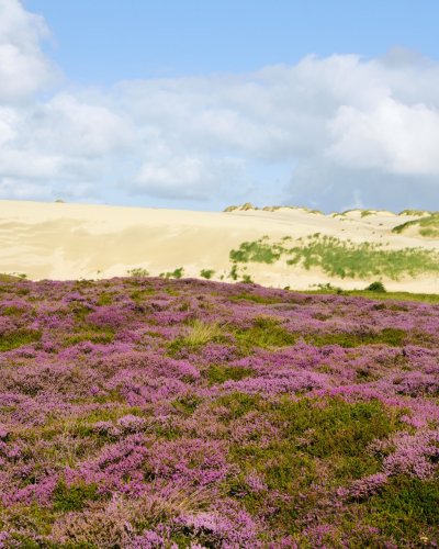 Deutschlands größte Wanderdüne auf Sylt