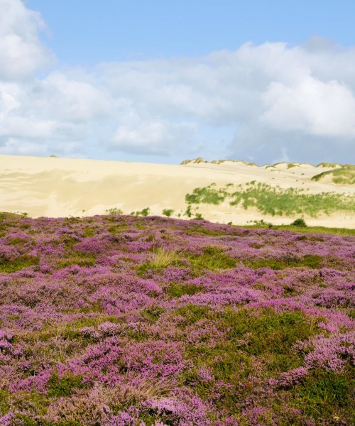 Deutschlands größte Wanderdüne auf Sylt